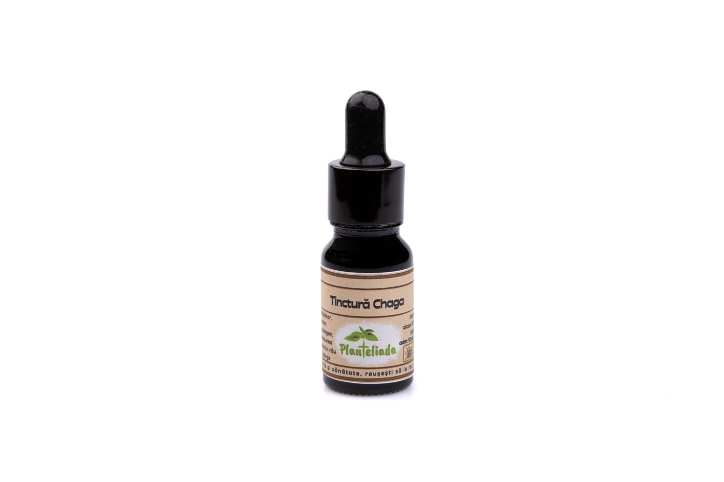 Tinctura de Chaga