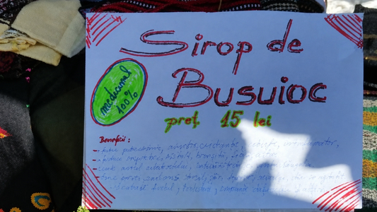 Dialogul tăcut dintre om și plante
