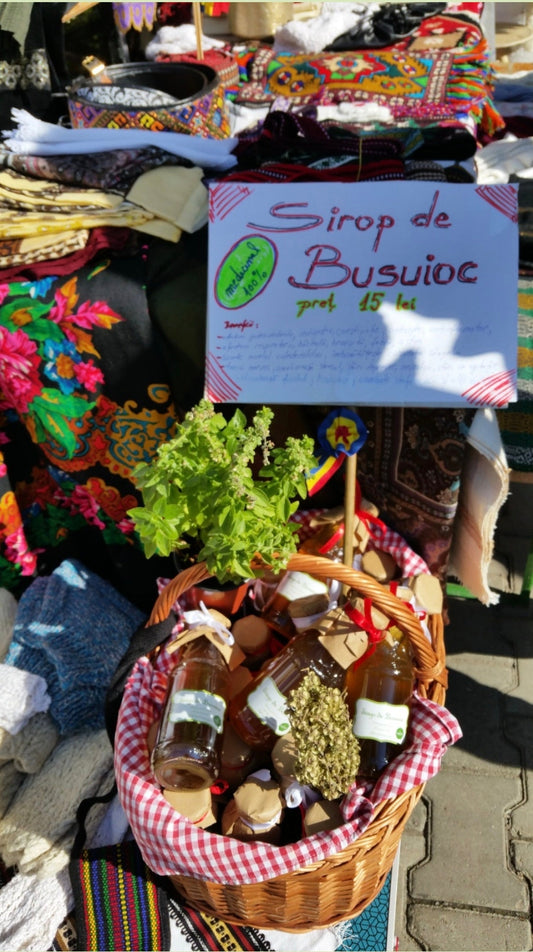 Dialogul tăcut dintre om și plante